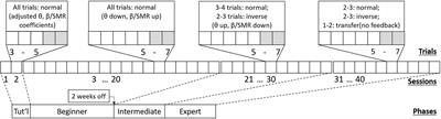 Neurofeedback Learning Is Skill Acquisition but Does Not Guarantee Treatment Benefit: Continuous-Time Analysis of Learning-Curves From a Clinical Trial for ADHD